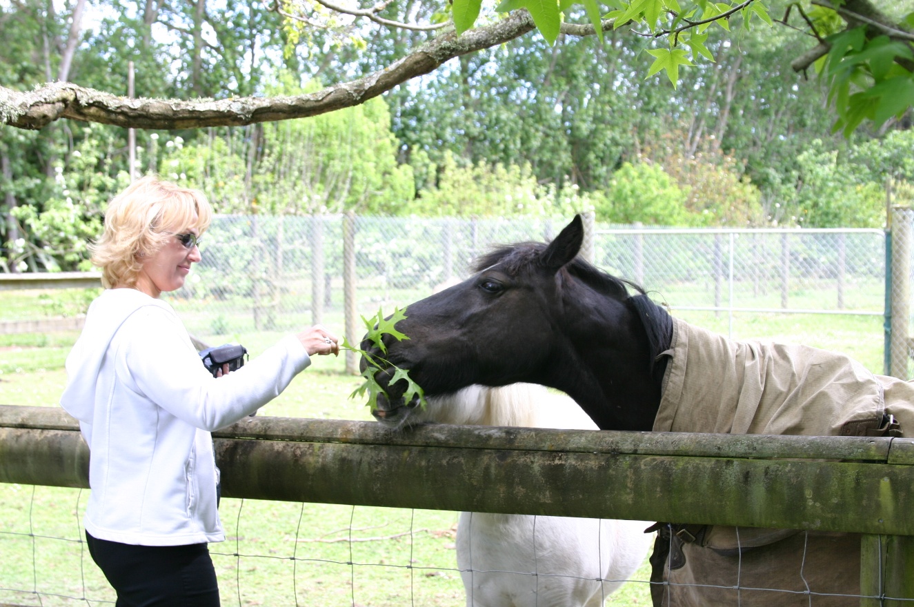 Sveta and horses