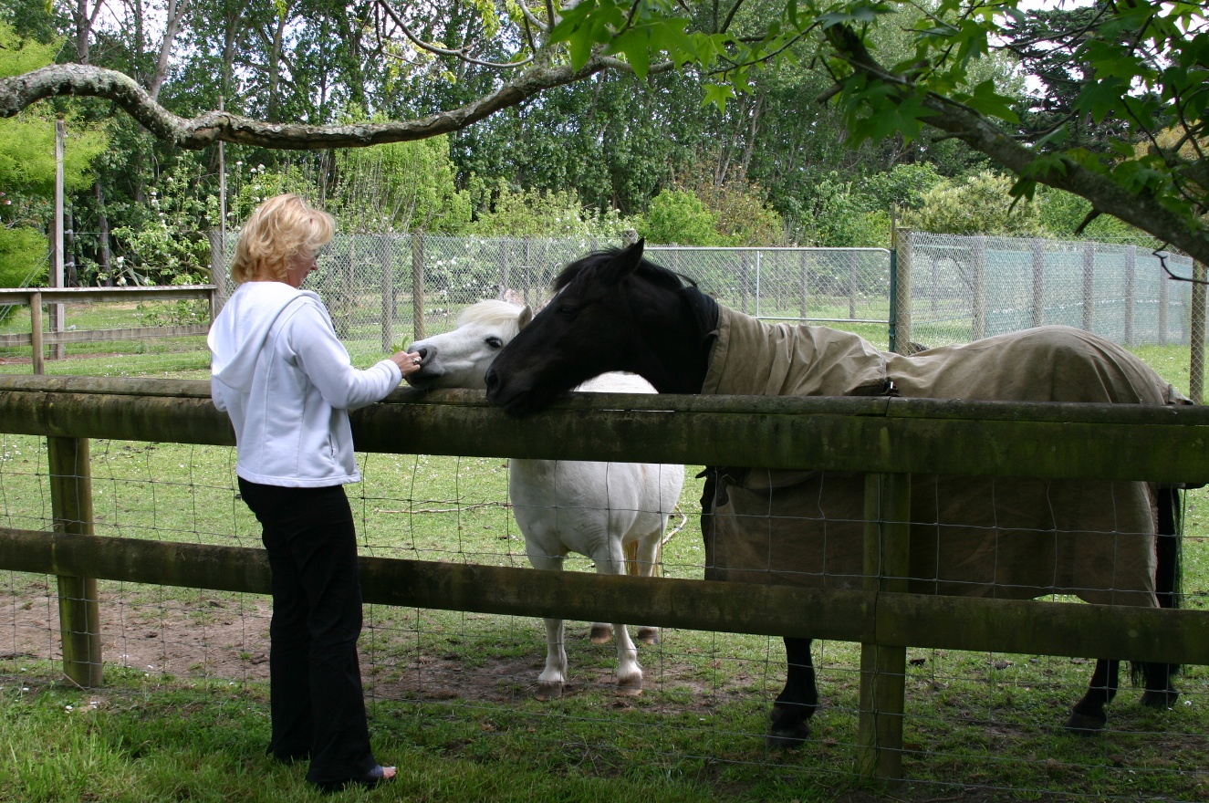 Horses and Sveta