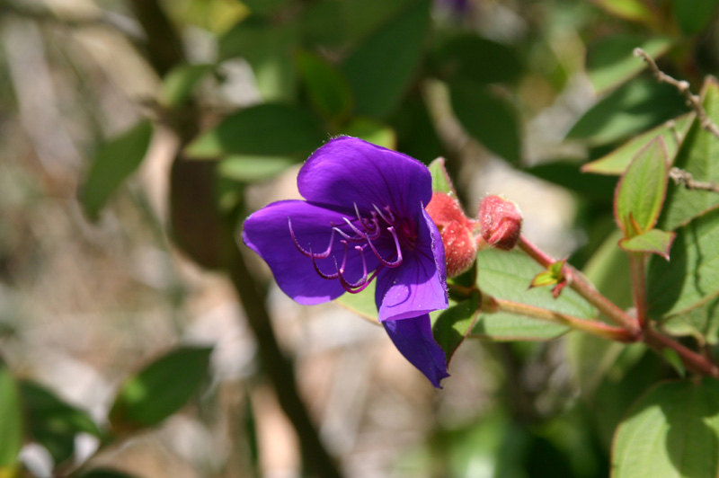 Colorfull