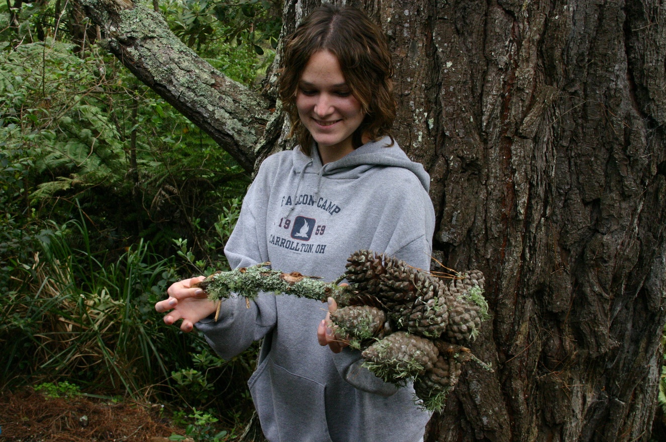 Anna and cones