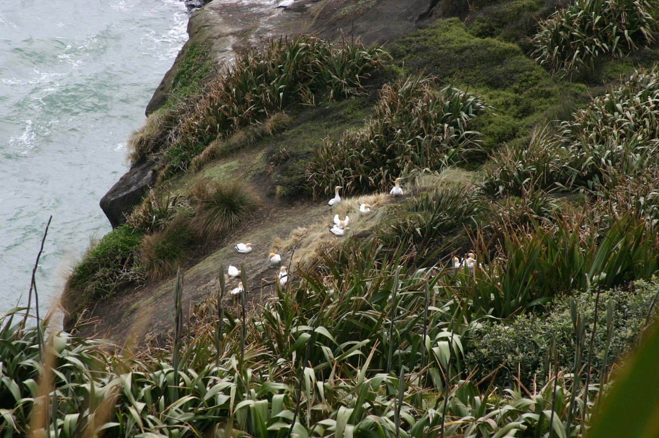 Birds Place