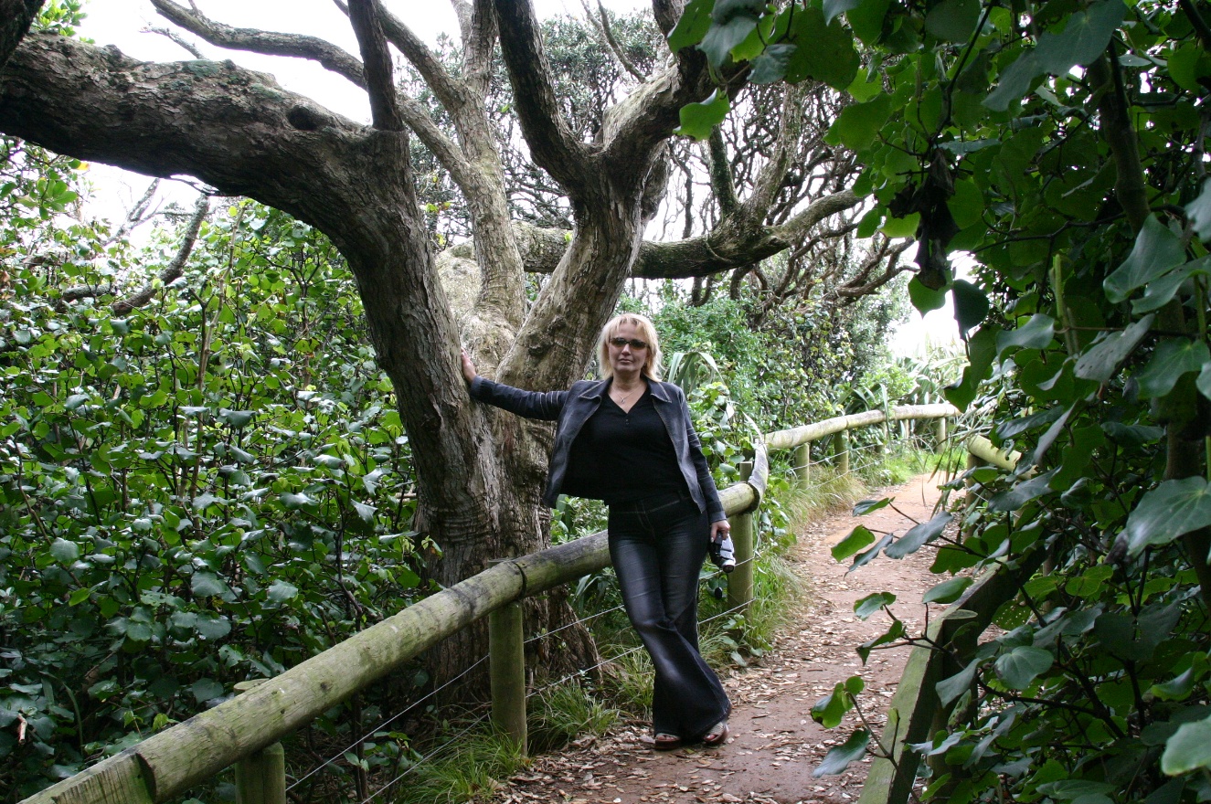 Walk to the birds