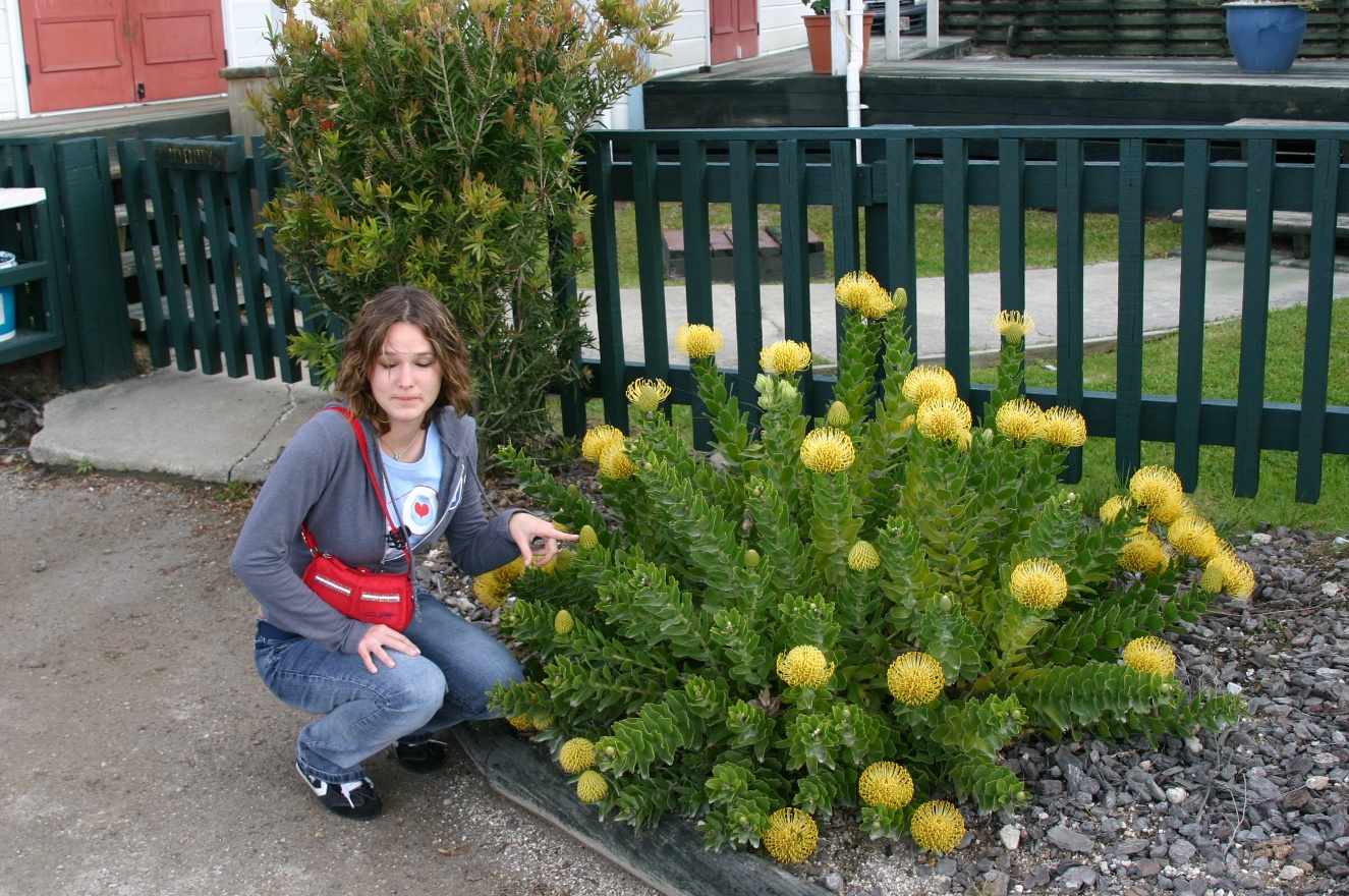 Anna and plant
