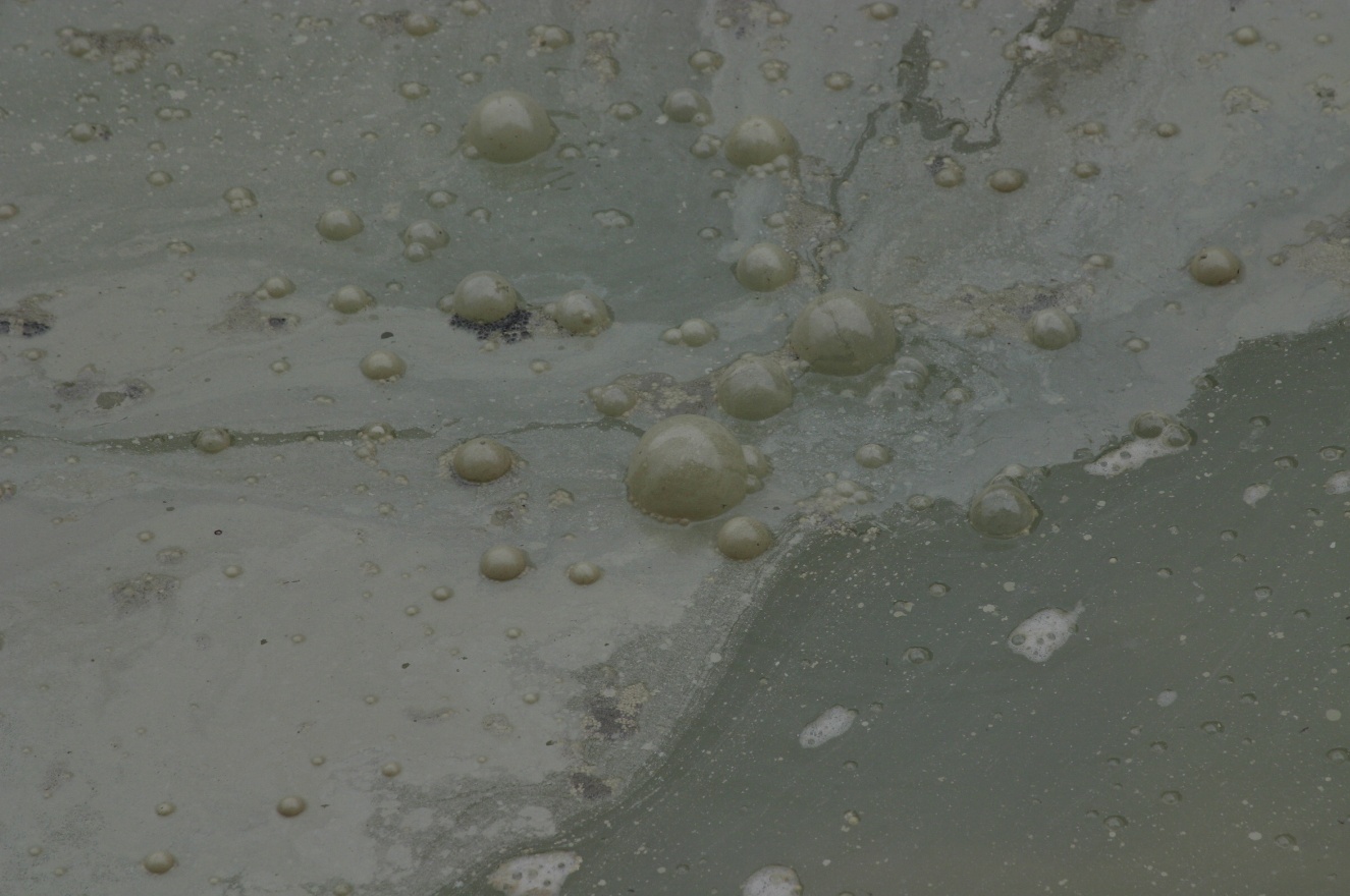 Bubbles