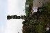 IMG_0496