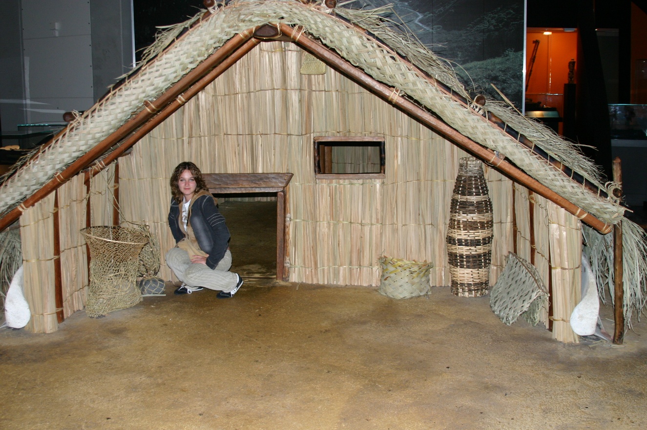 Anna under the roof