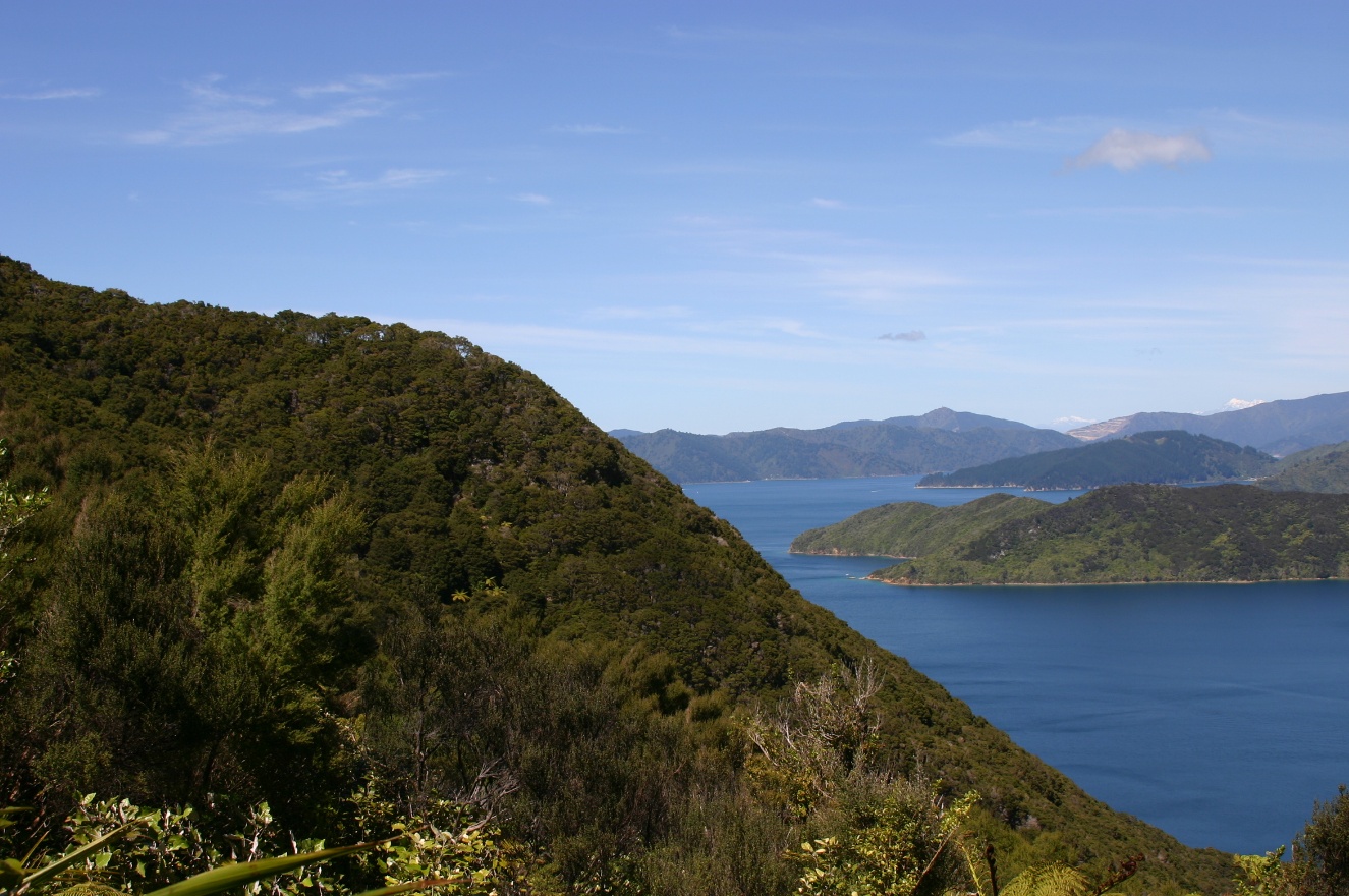 Panorama1