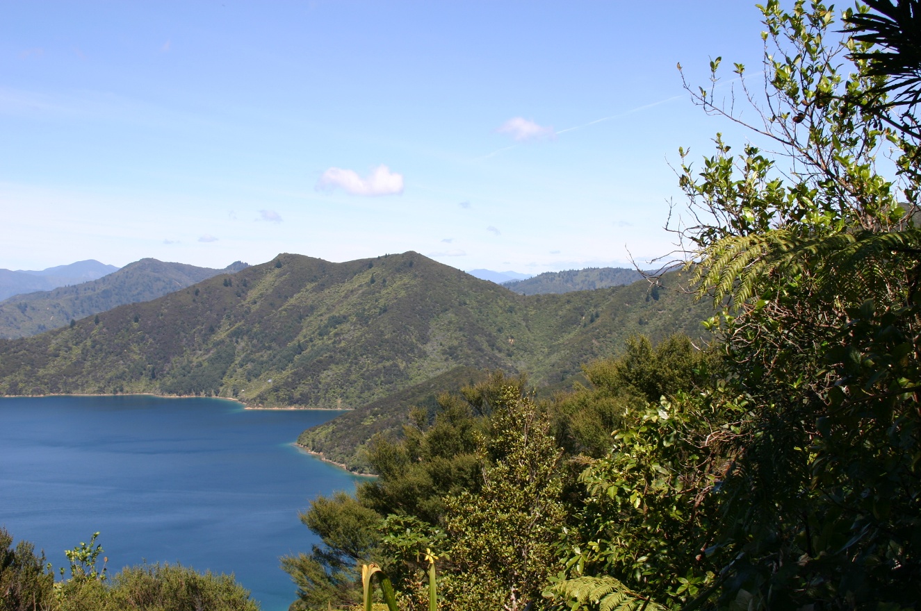 Panorama3