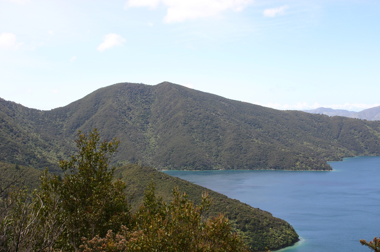 New Panorama 1