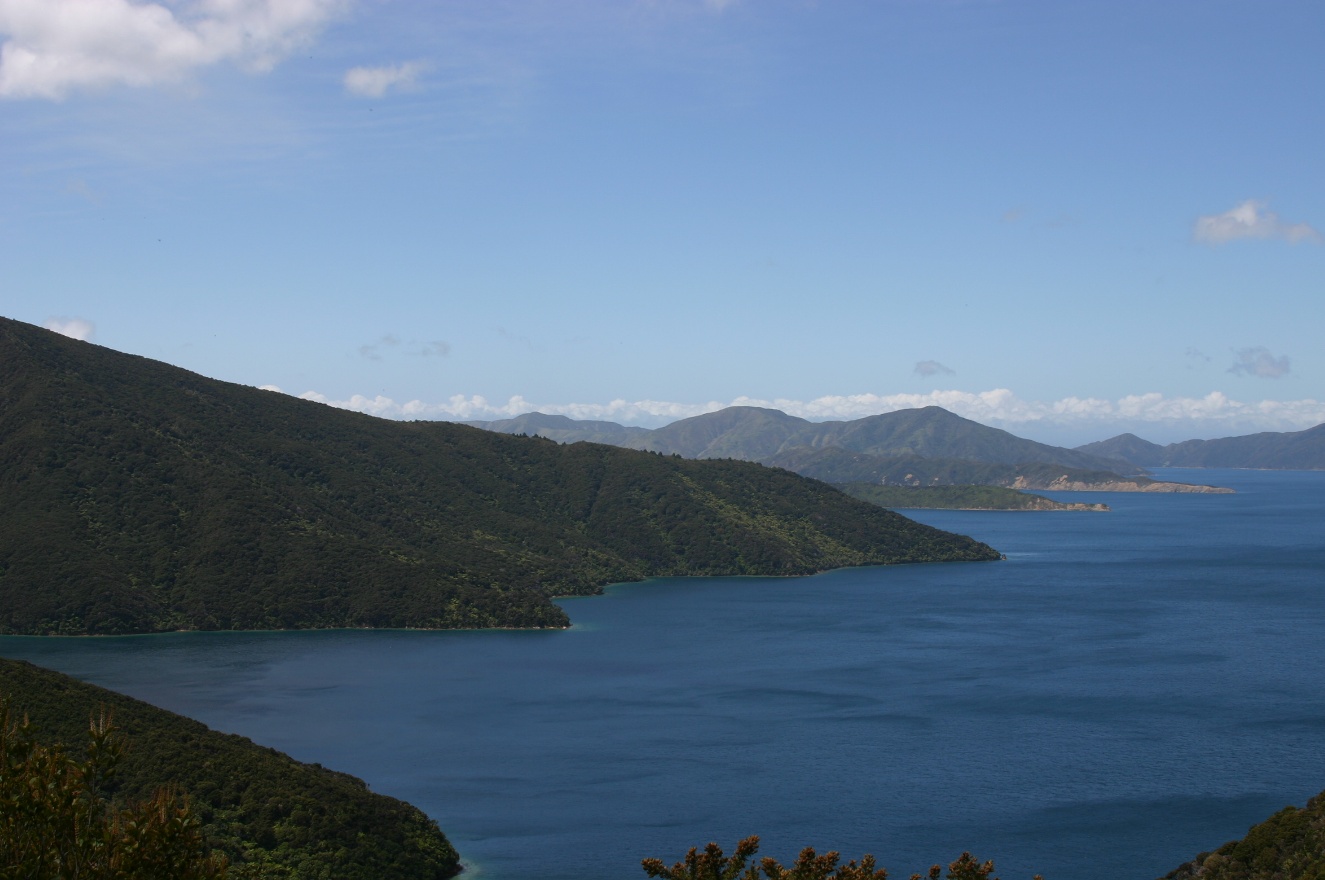 New Panorama 2