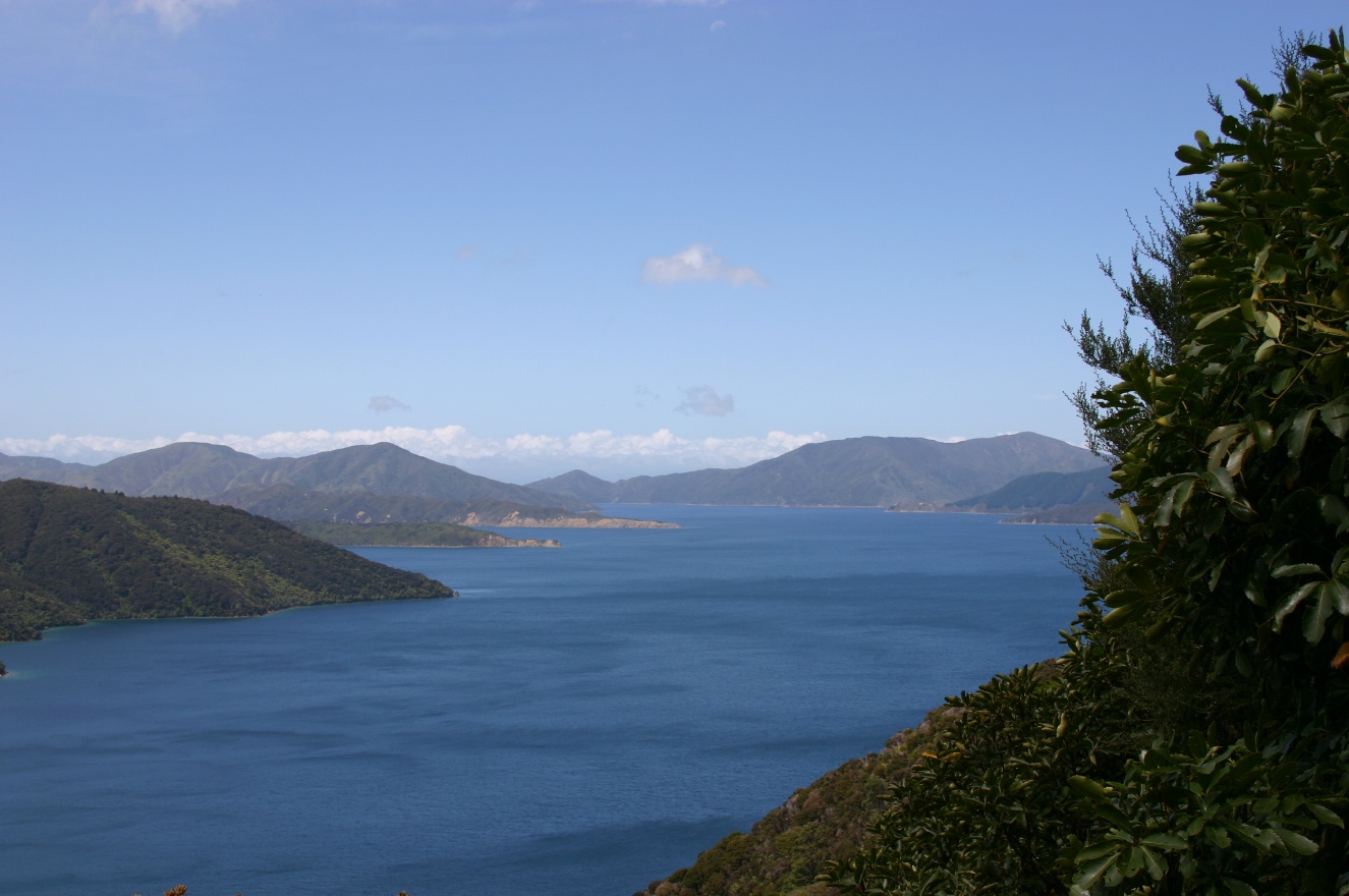 New panorama 3
