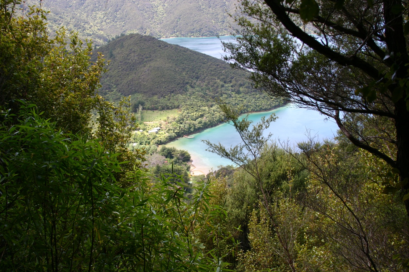 View down