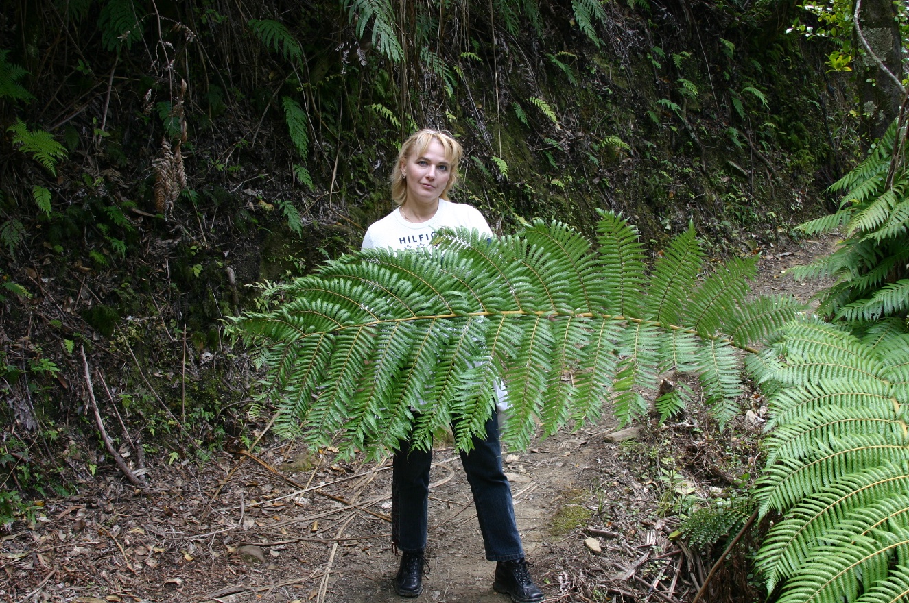Sveta and plant