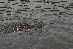 IMG_1382