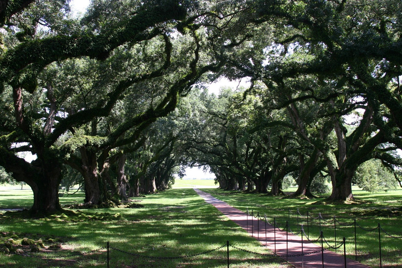 Oak Alley Plantation