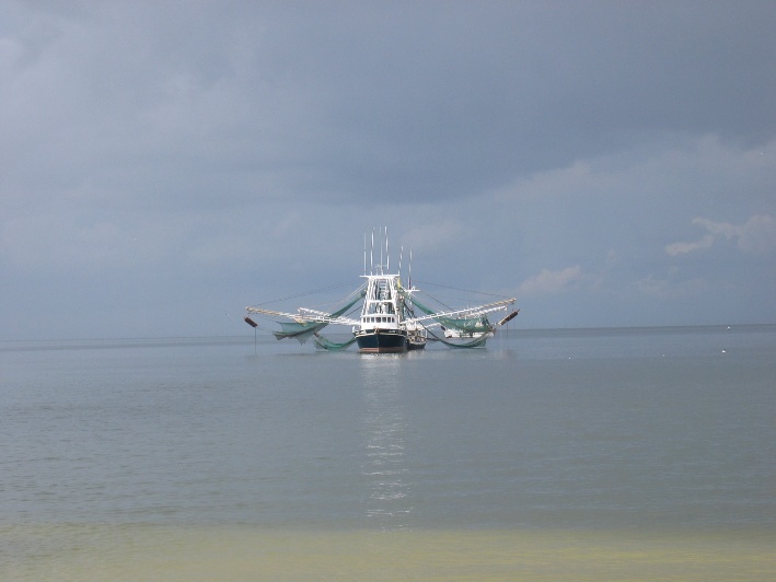 Ready for shrimp