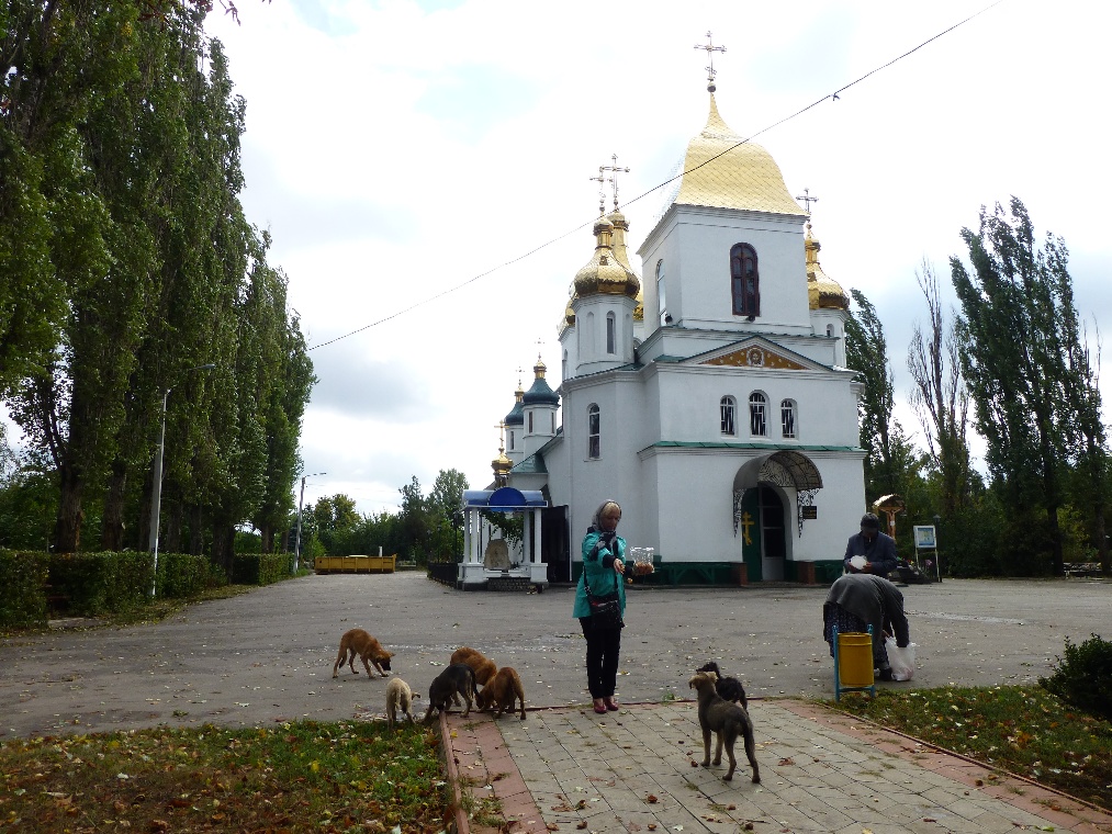 Church and dogs