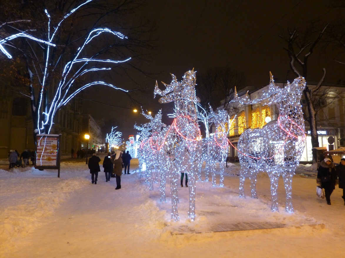 Reindeers in snow