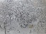 P1050121