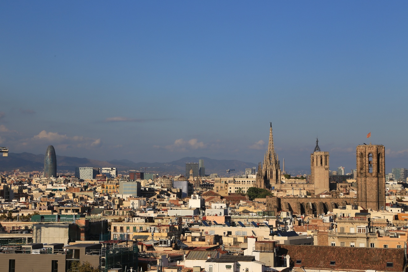 Barcelona roofs