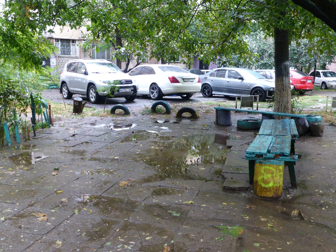 After the rain