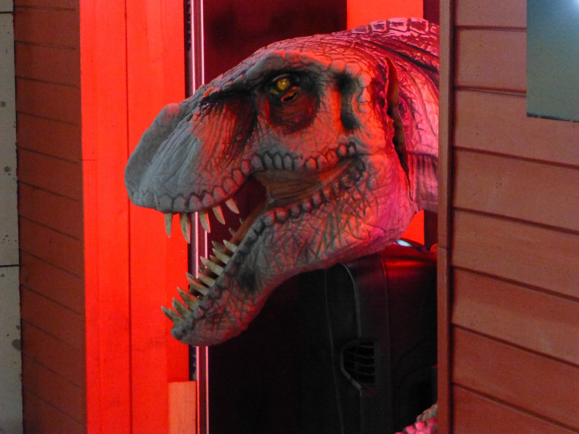 Head