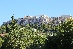 IMG_8529