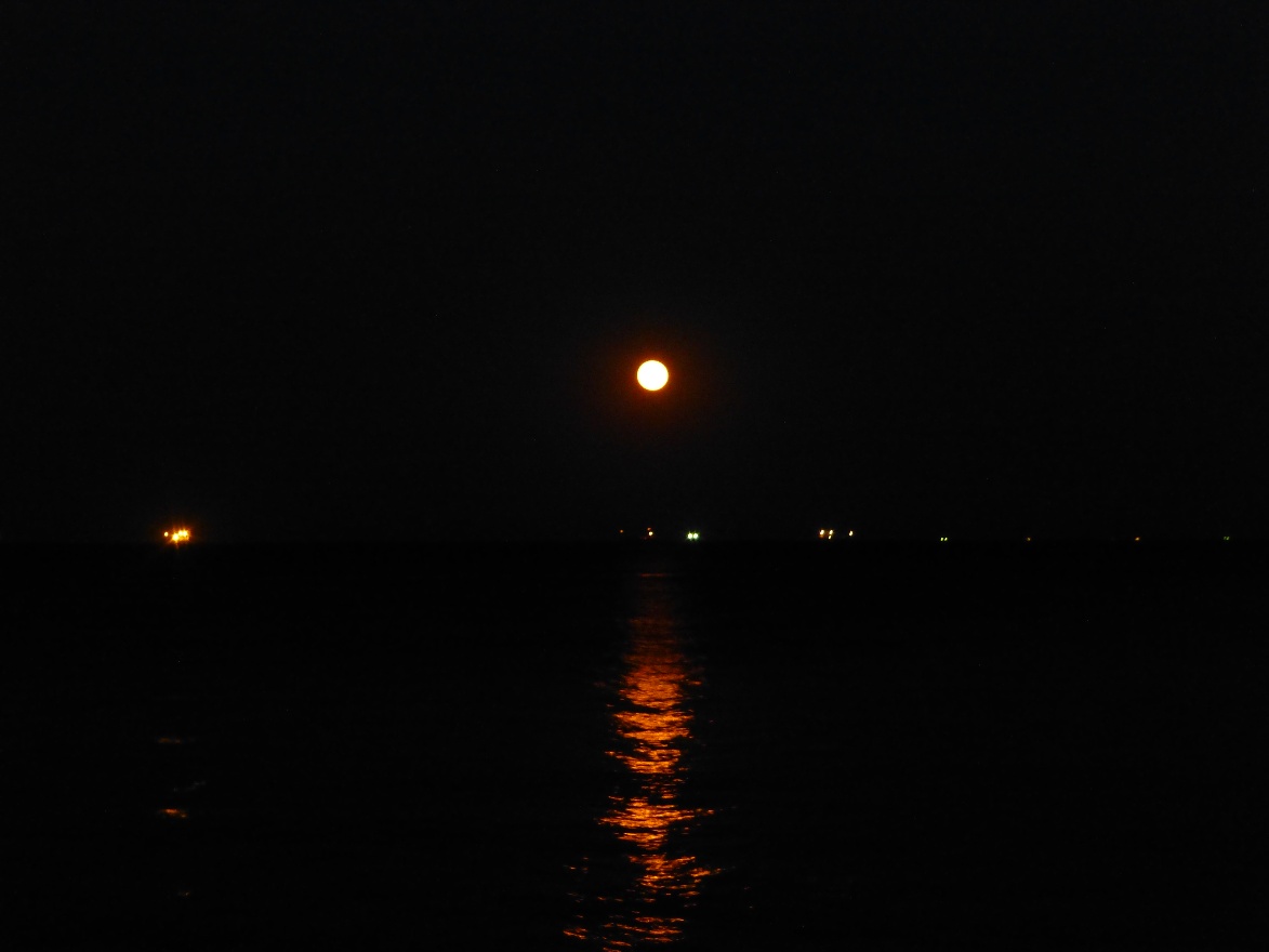 Moon
