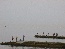 P1000261