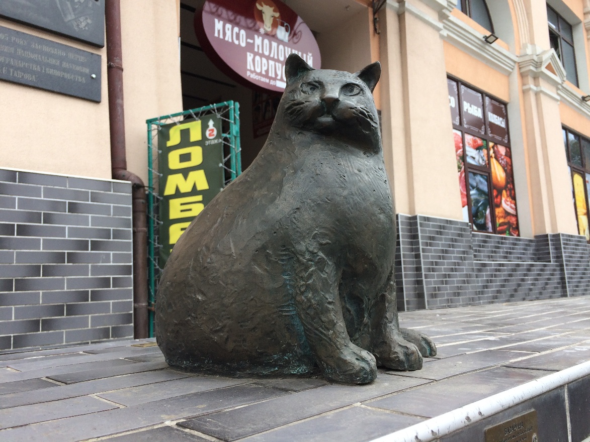 Giant cat