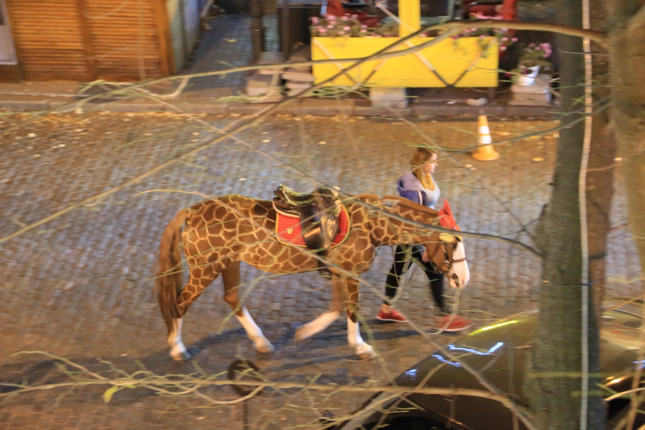 Horse