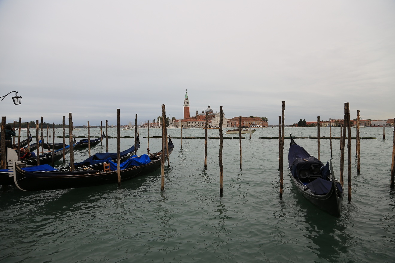 Docked gondolas
