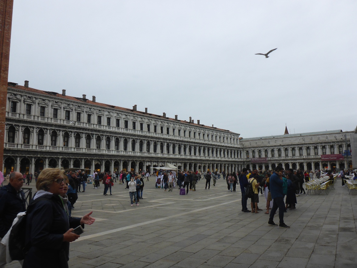 Flying bird and San Marco
