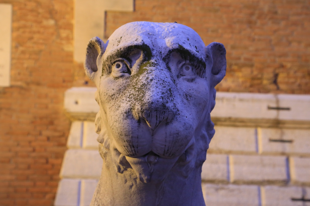 Happy Lion