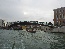 P1050629