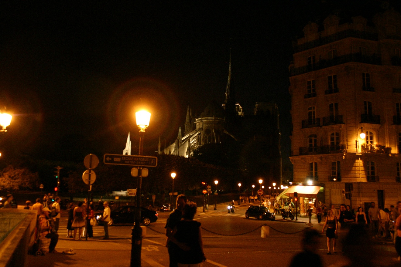 Pont Saint Louis at night