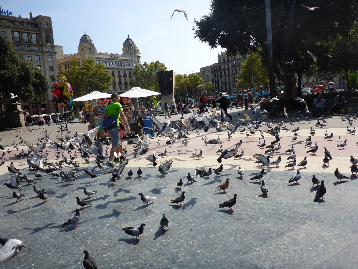 Plasa de Catalunya