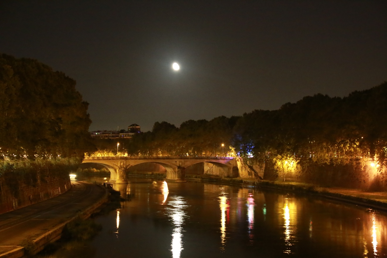 Bridge and lights