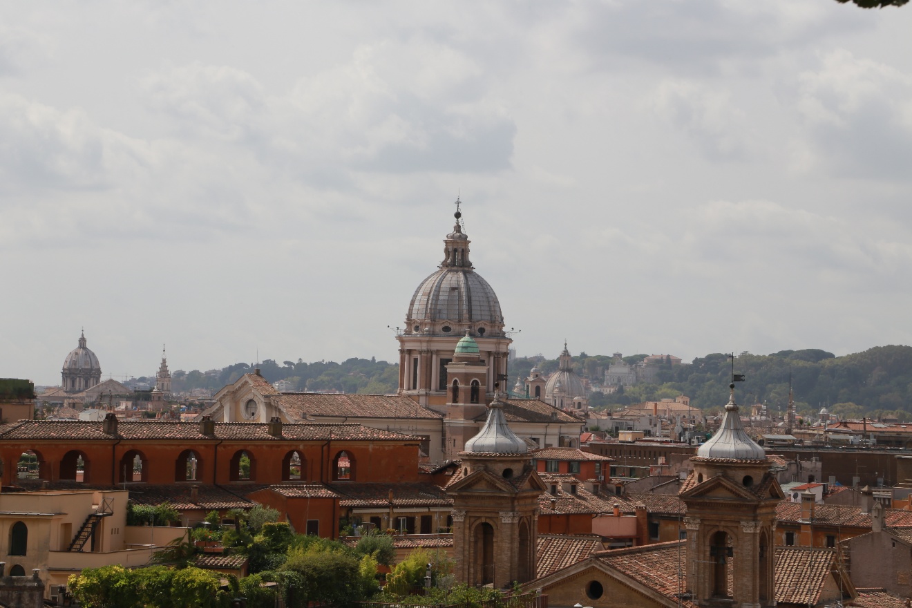 Rome roofs 2