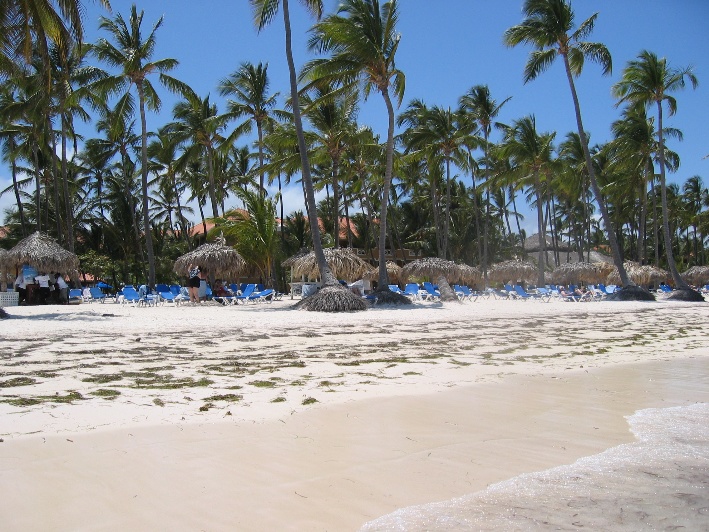 IMG_11242