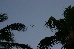 IMG_1207