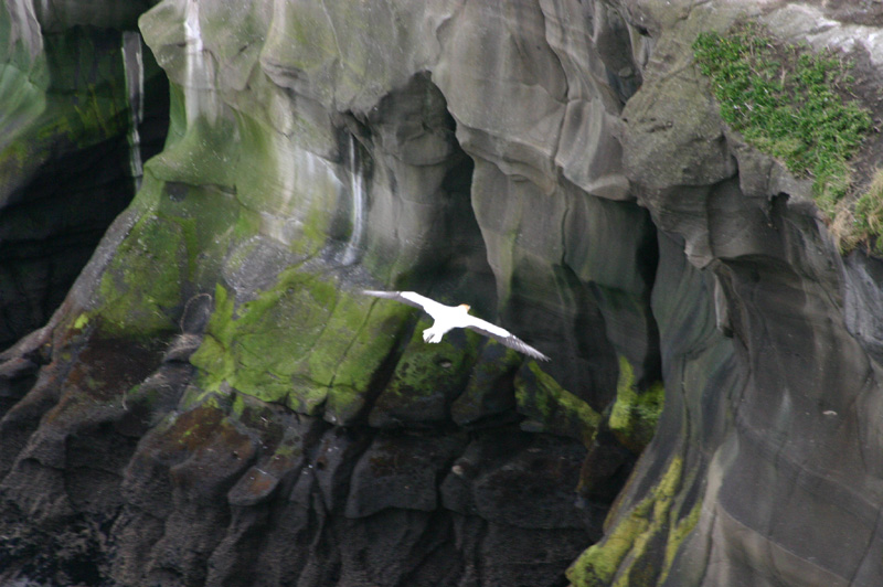 Free Flight 1