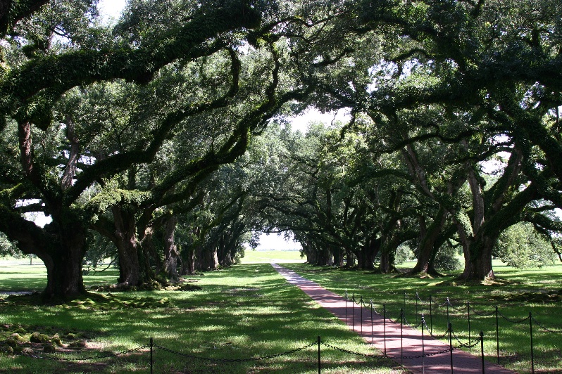 Oak Alley Plantation