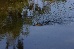 IMG_1357