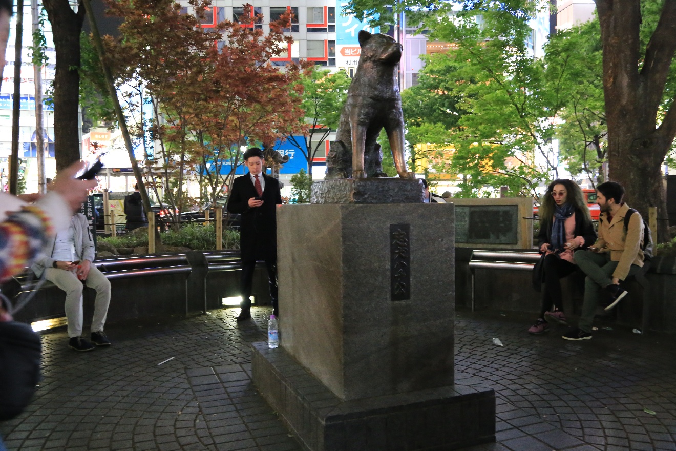 Hachiko