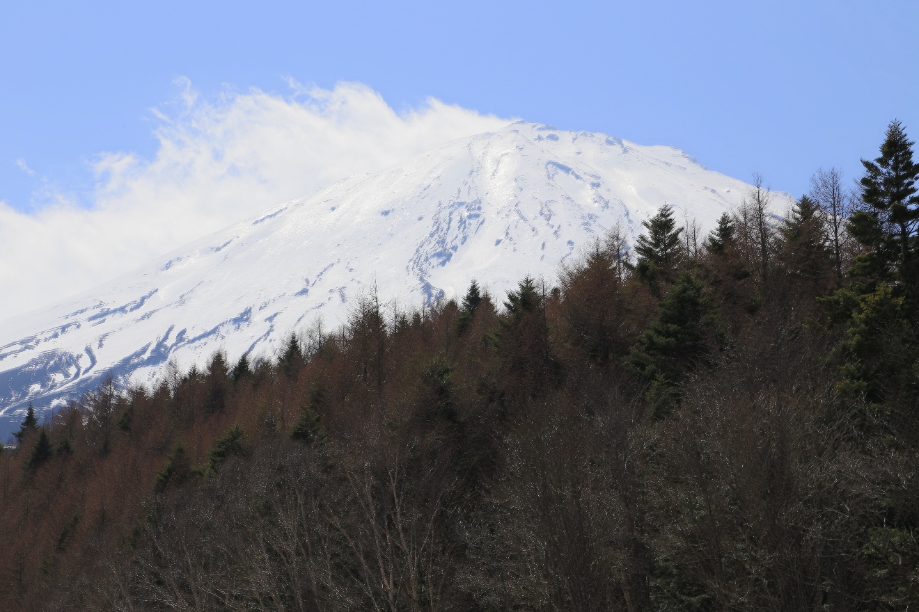 At the foot of mount Fuji