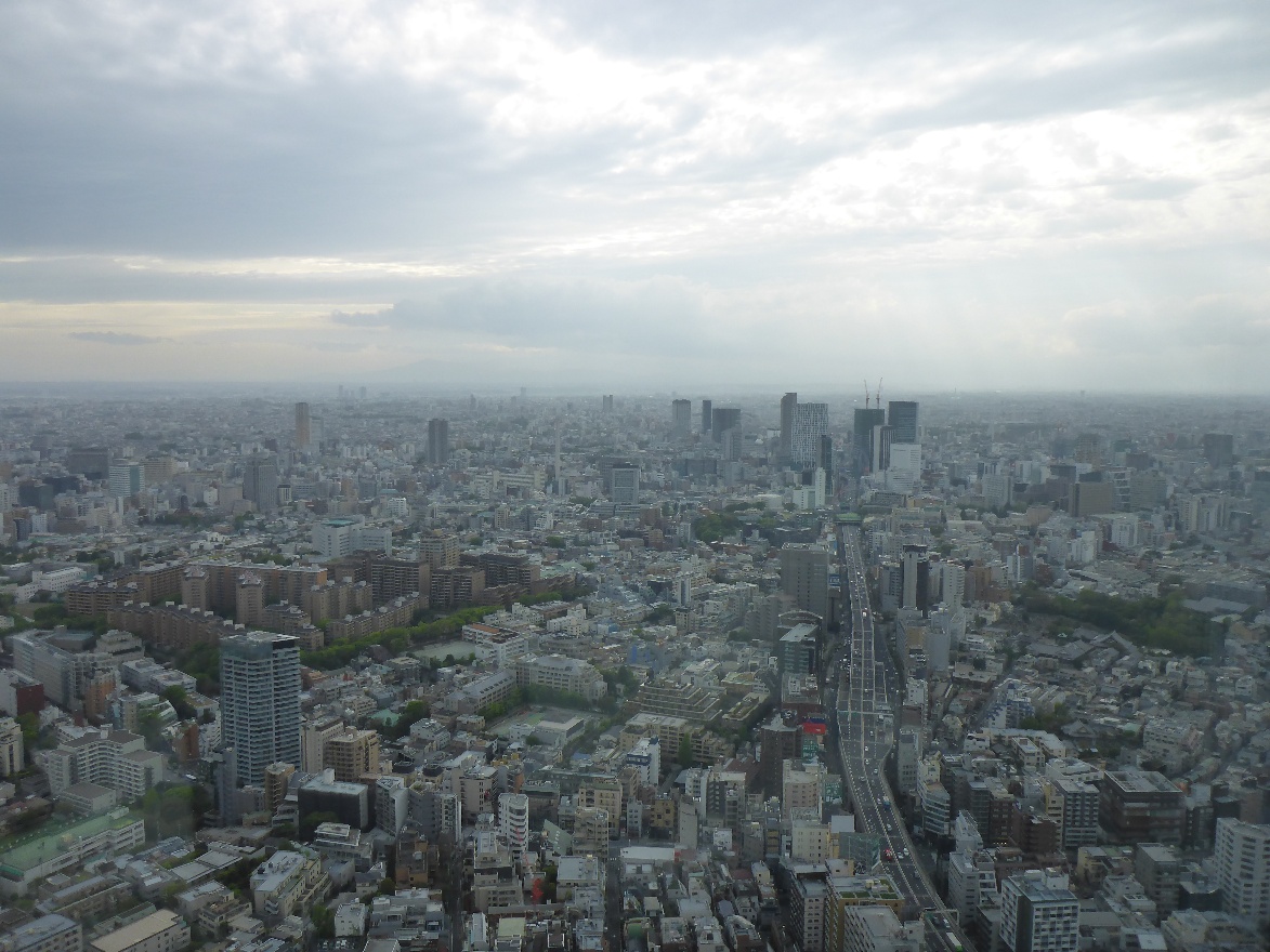 Mori Tower city view
