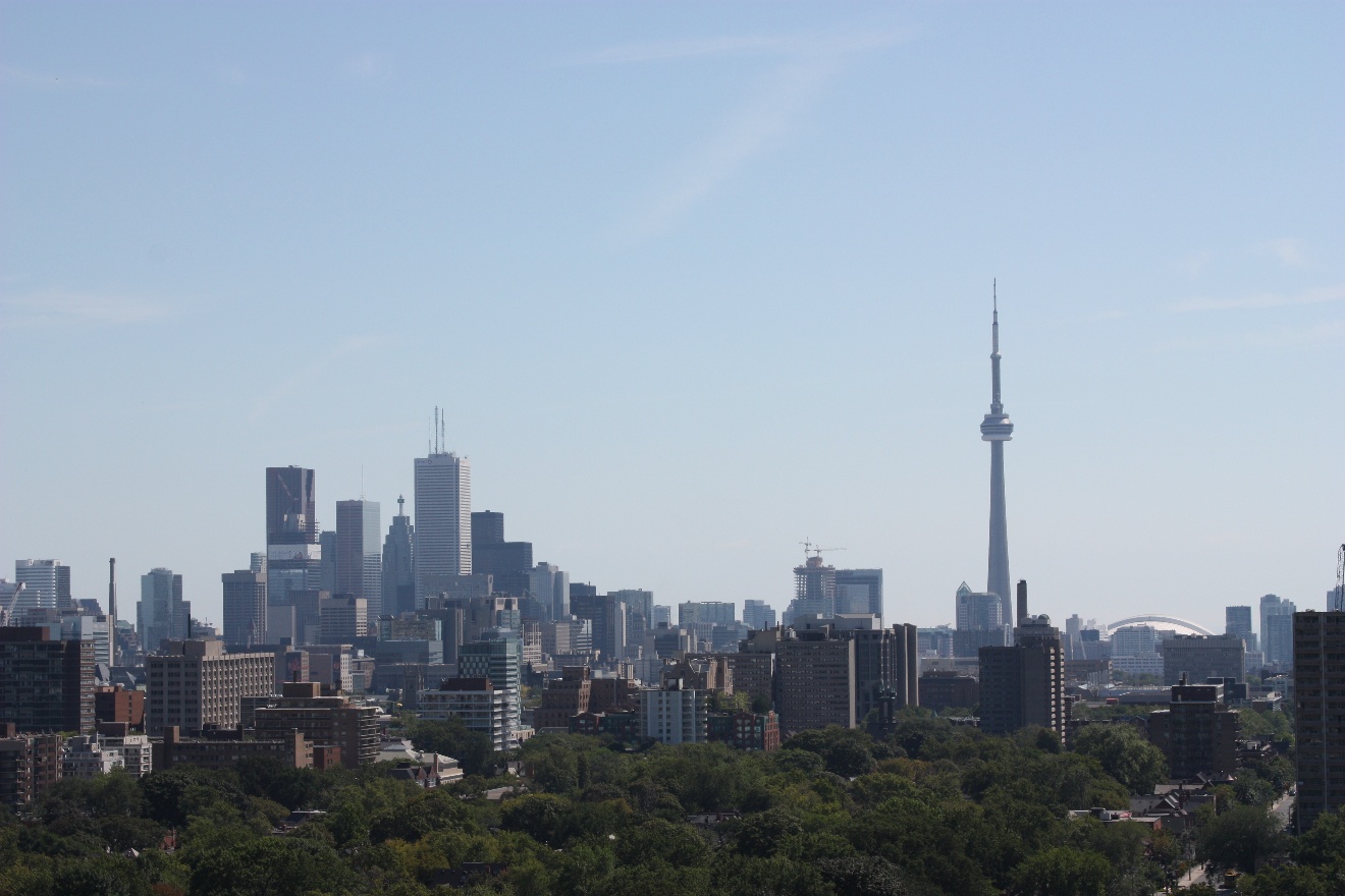 View from tower