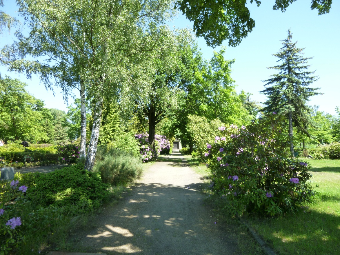 Кладбище