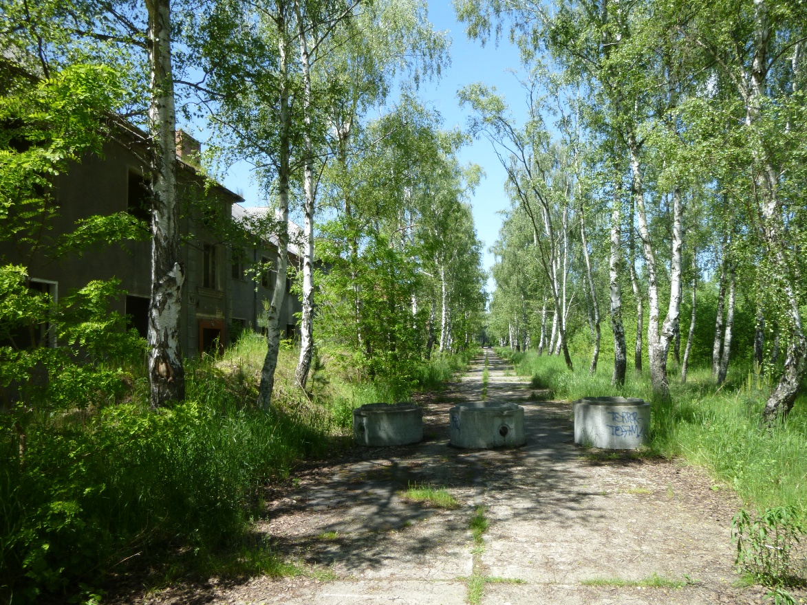Дорога к школе